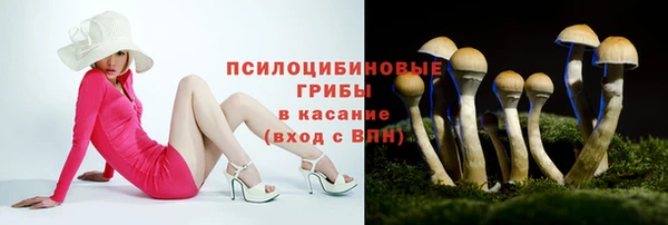 герыч Гусев