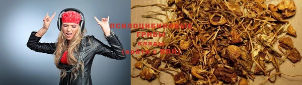 синтетический гашиш Гусиноозёрск