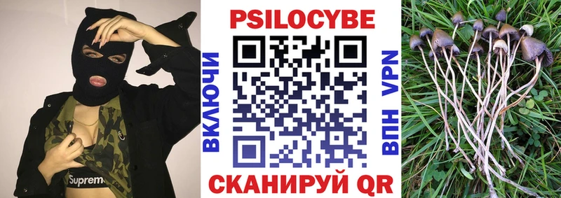 Купить где  Камышин  Галлюциногенные грибы GOLDEN TEACHER 